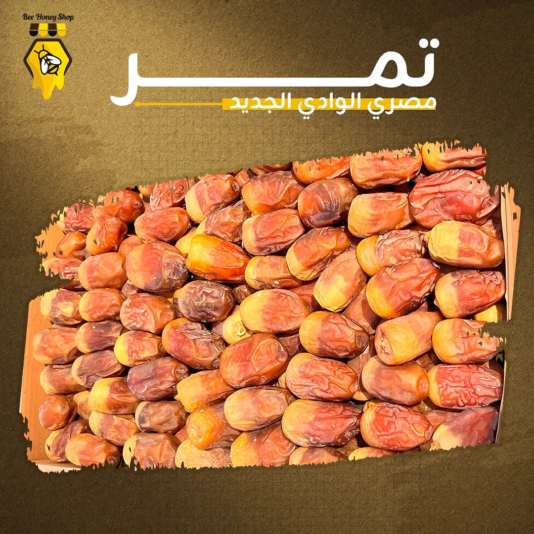 تمر مصري الوادي الجديد