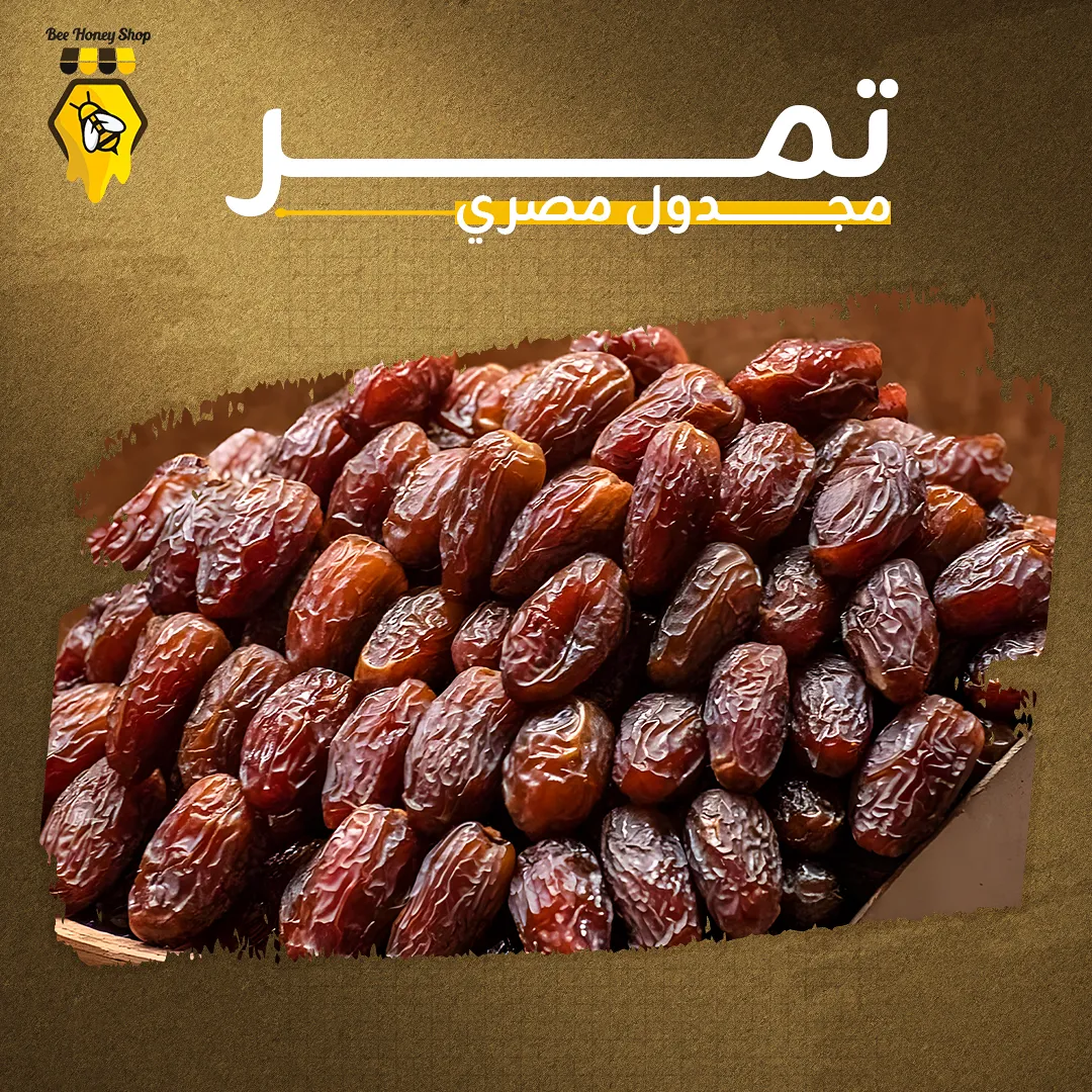 تمر مجدول مصري